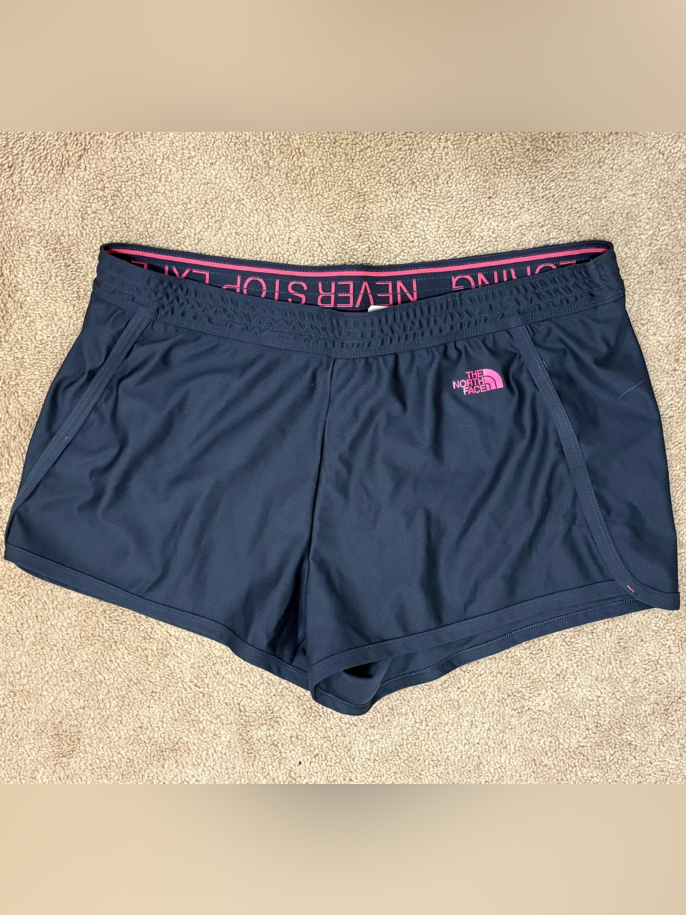The North Face Pulse Blue Pink Athletic Shorts Size XL